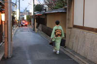 Pas klientą skubanti geiša, Kijotas, Japonija
