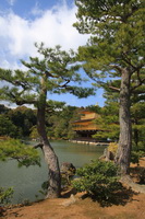 Kinkakudžis - Auksinis paviljonas. Rokuondžio šventykla, Kijotas, Japonij