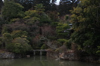 Rioandžio šventyklos tvenkinys ir sodas, Kijotas, Japonija